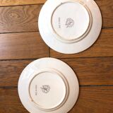 Lot of 2 dessert plates in vintage 1920s dab, oak leaf and tassel pattern