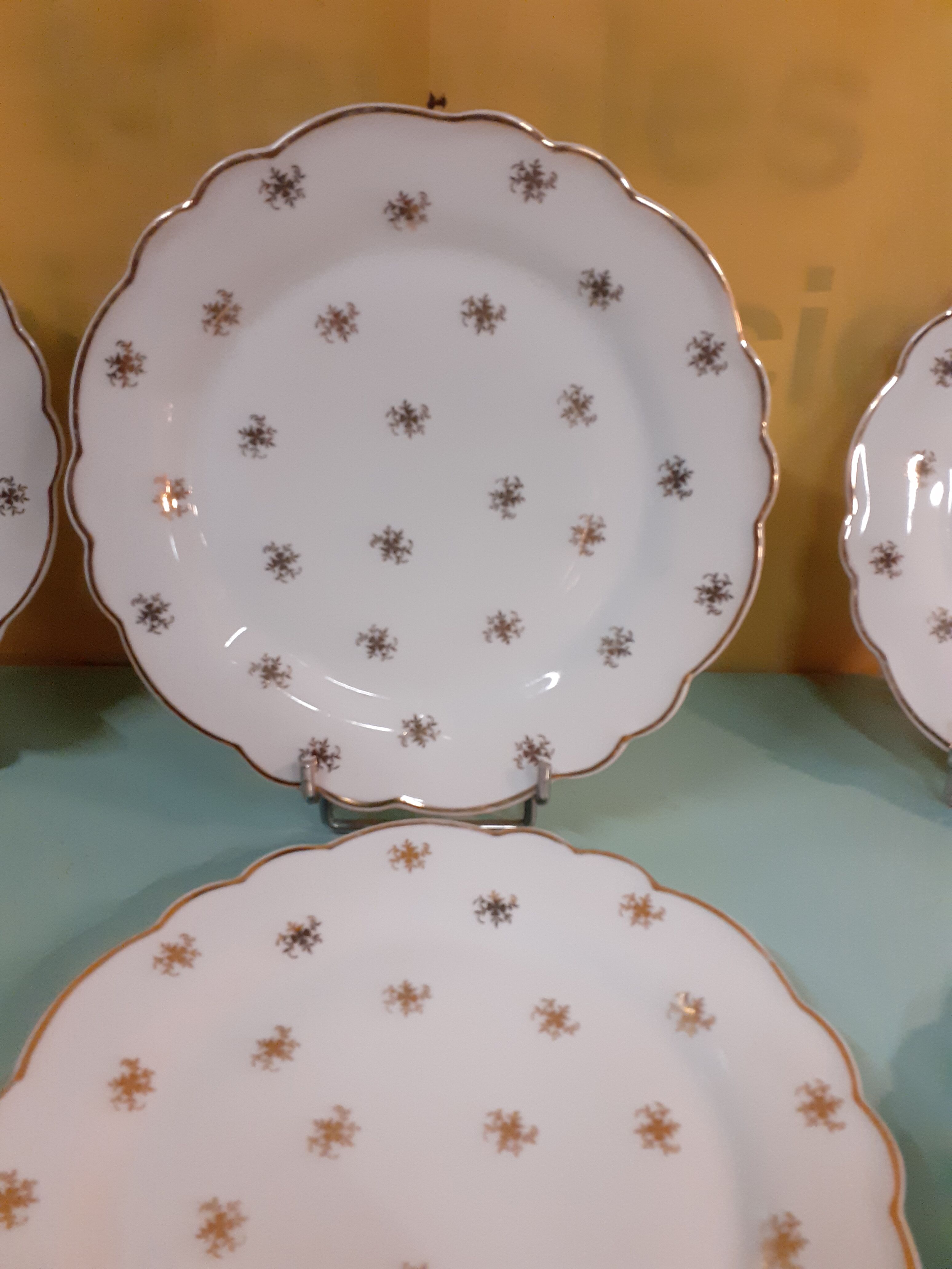 Limoges Salmon porcelain plates - 6 plates