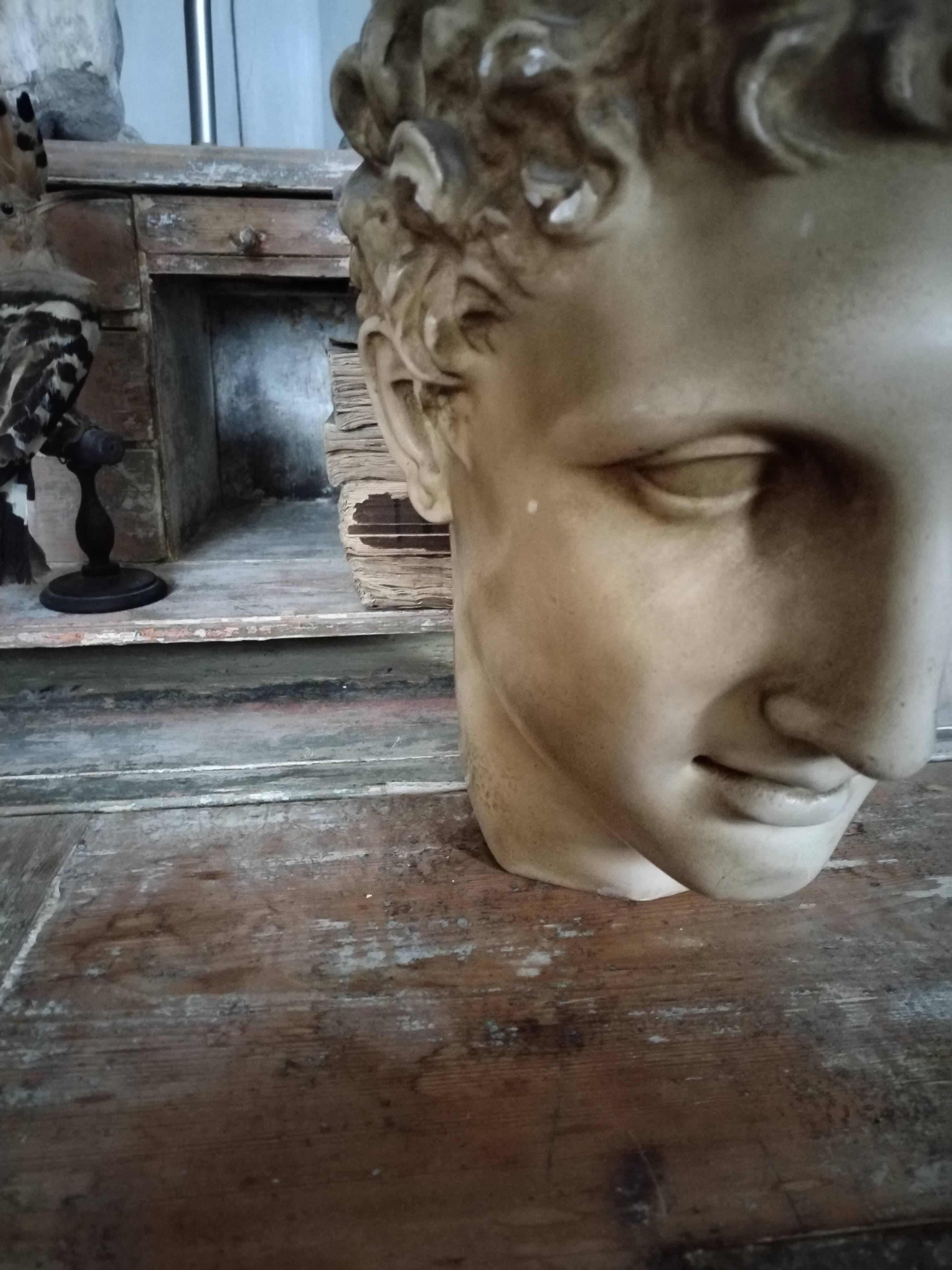 Antique plaster head of a man early 20th century