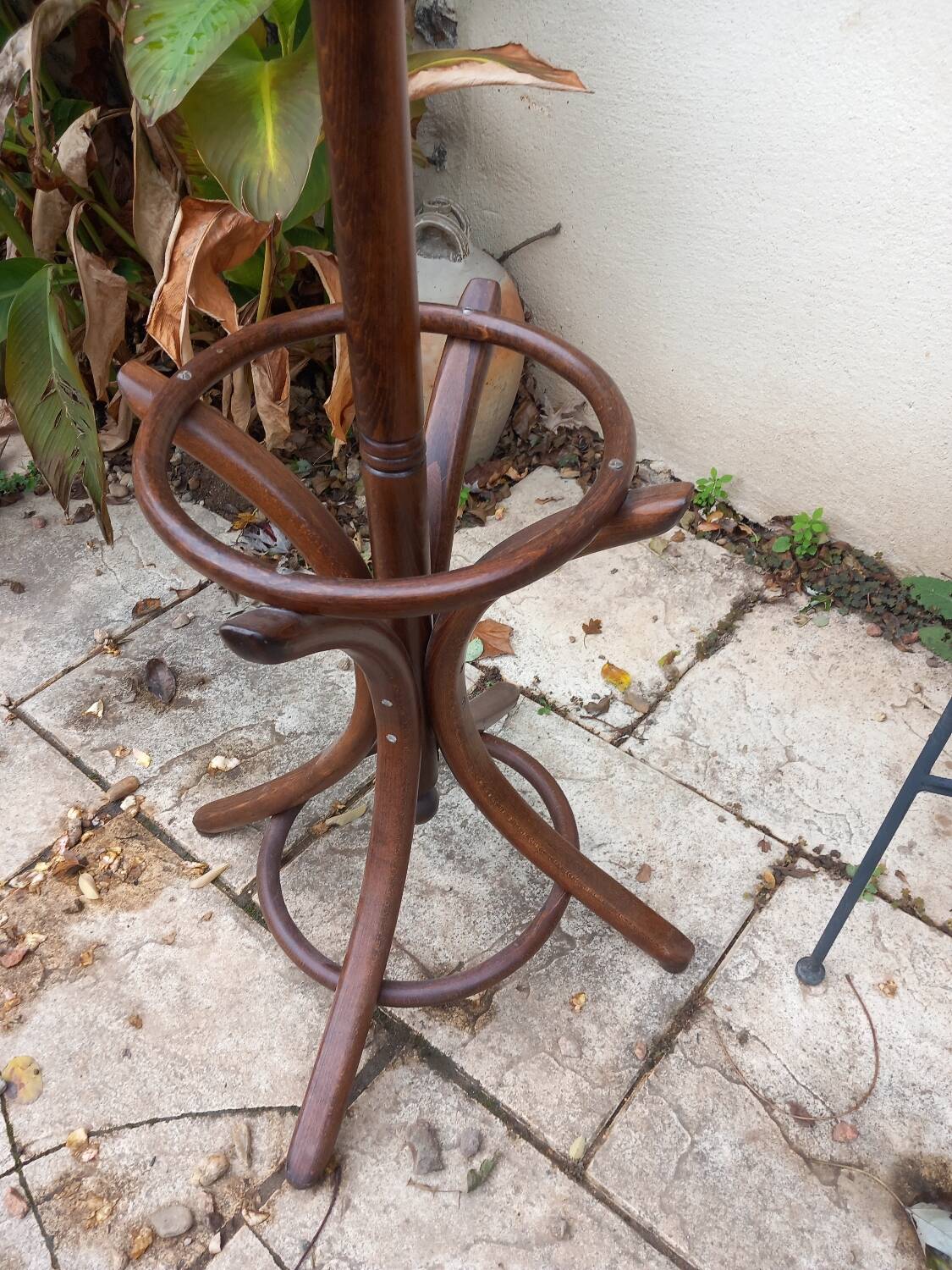 Vintage parrot coat rack