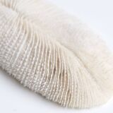 White coral, cabinet of curiosities, 70s