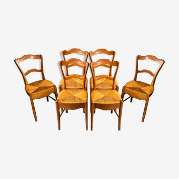 6 old chairs in cherry tree