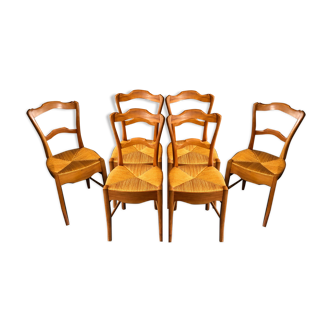 6 old chairs in cherry tree