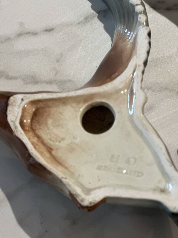 Canards volants diplômés du milieu du siècle