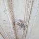 Pair of old white painted fir closet doors