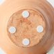 Spanish Revival Terracotta Table Lamp, Cream and Cobalt, New Linen Shade