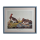 Vintage reproduction after Jean-Jacques Audubon, ornithology, Ptarmigan of the Willows