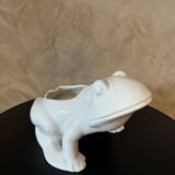 Frog plant pot
