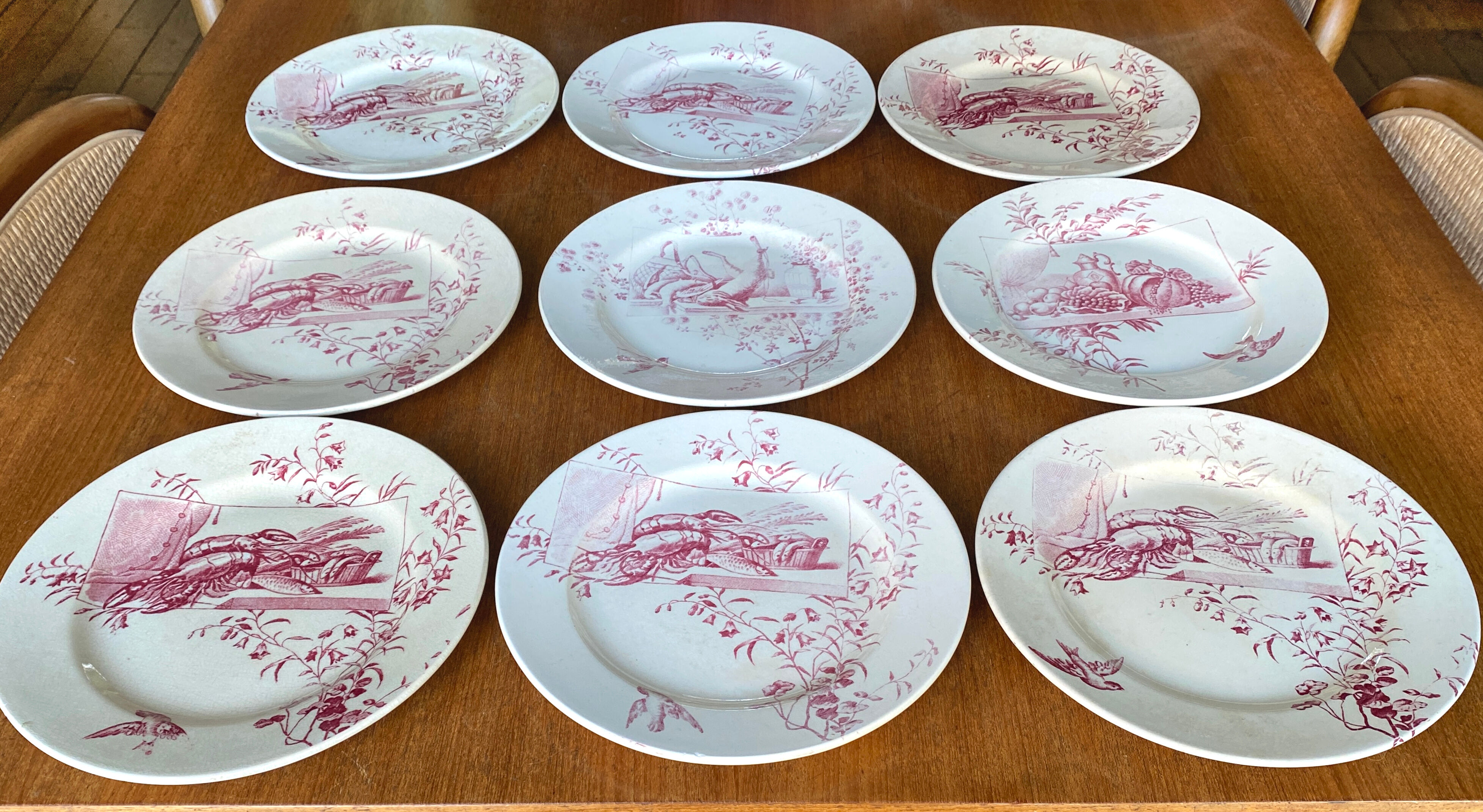 Set of 9 red earthenware plates from Terre de Fer Samaritaine - 19th century.