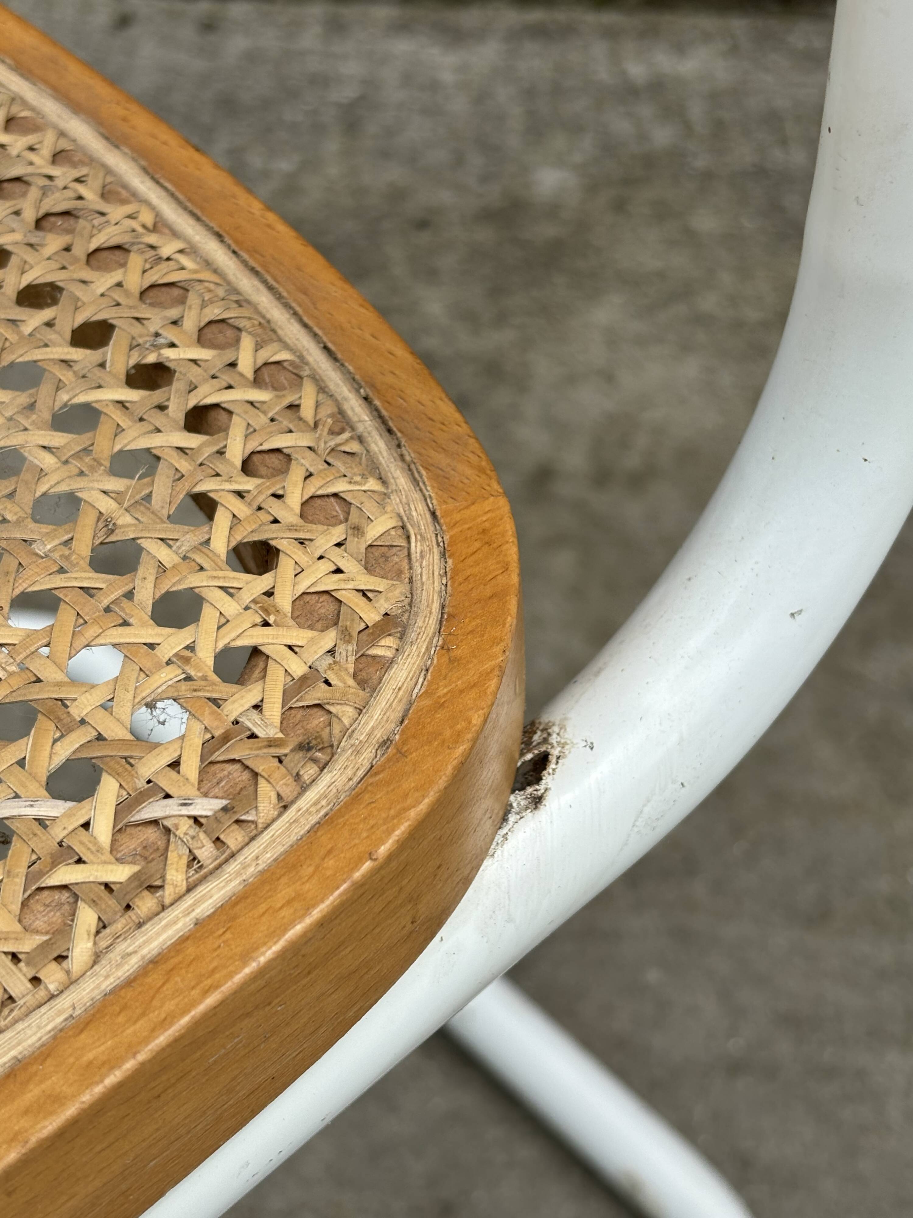 Cesca chair b32 model in white and wood by Marcel Breuer