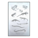 Printed in 1851, Natural History, Amphibians.