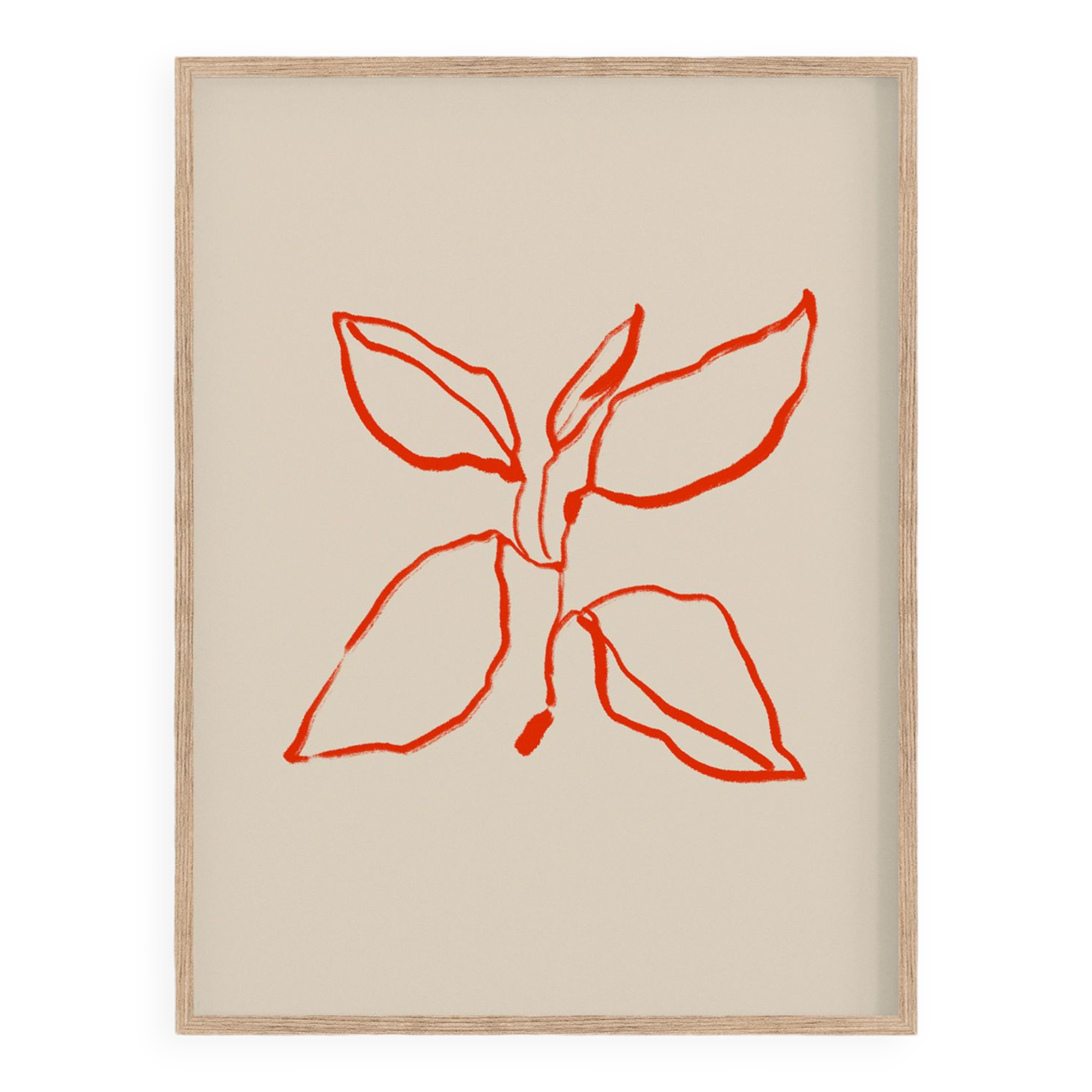 Botanical illustration giclee print, 50x70