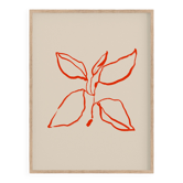 Botanical illustration giclee print, 50x70