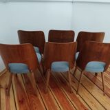 Mid-Century Set of dining 6 chairs Tatra O.Haerdtl, 60s Czechoslovakia