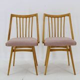 1960s Antonin Suman Set of Four Dining chairs in Beech Wood , Czechoslovakia