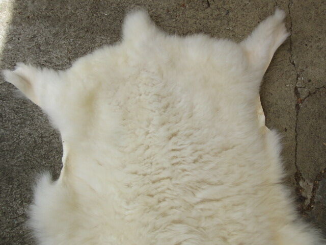 Sheepskin