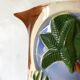Marabout palm slip pitcher