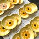 Gien soup plates