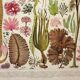 Antique engraving 1928, Algae, marine plant, flora • Lithograph, original illustration
