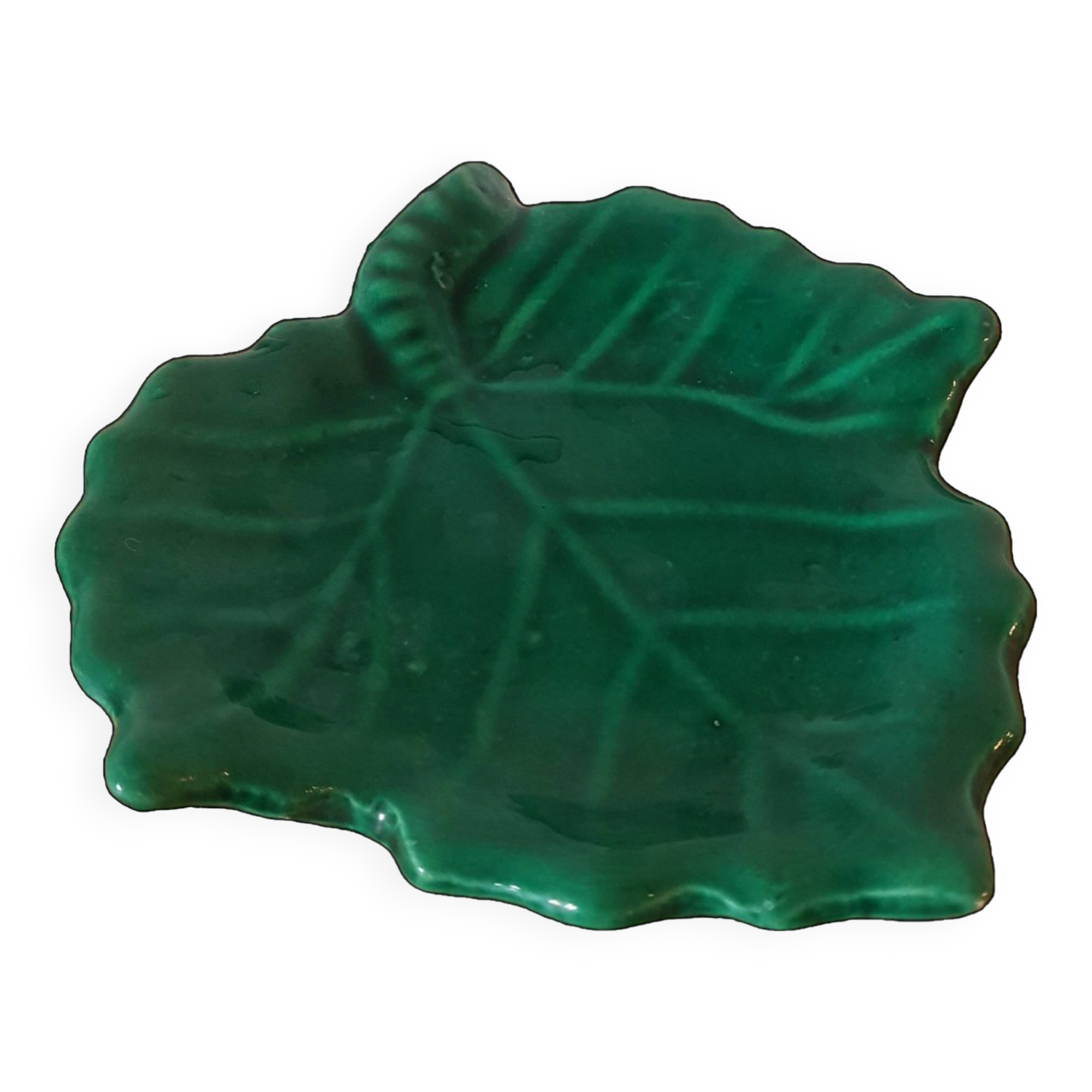 Empty vine leaf pocket Vallauris