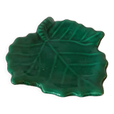 Empty vine leaf pocket Vallauris