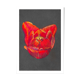 Nature morte - Coeur de tulipe