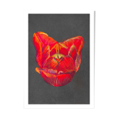 Nature morte - Coeur de tulipe