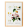 Vintage poster of the hybrid apple tree, after an 1802 engraving