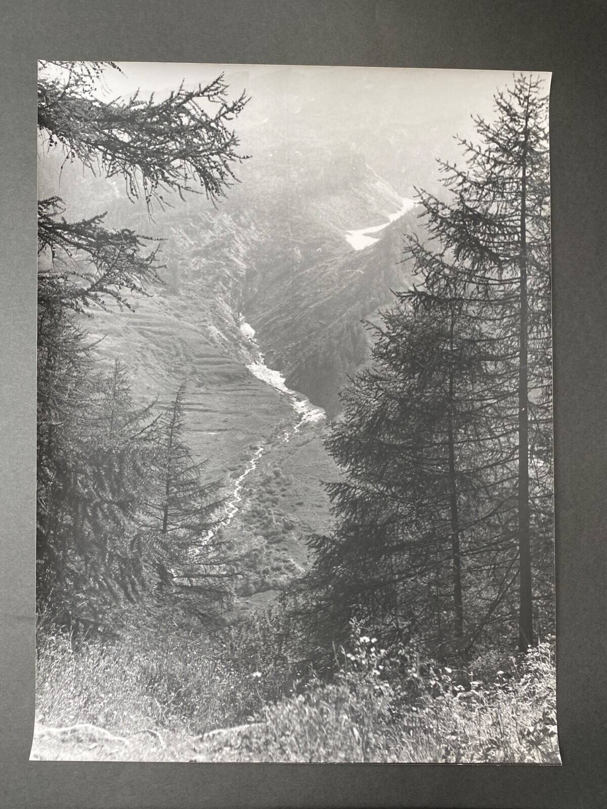 Silver photo Bernard Darot 20th Torrent in the valley