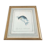 Golden frame engraving nightingale
