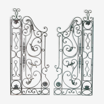 Pair of gates, doors, gates, wrought iron