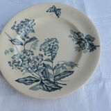 Set of ten plates in Longwy, botanical décor