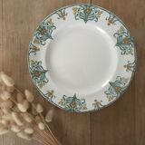 Flat plates iron earth Longwy Mimosa