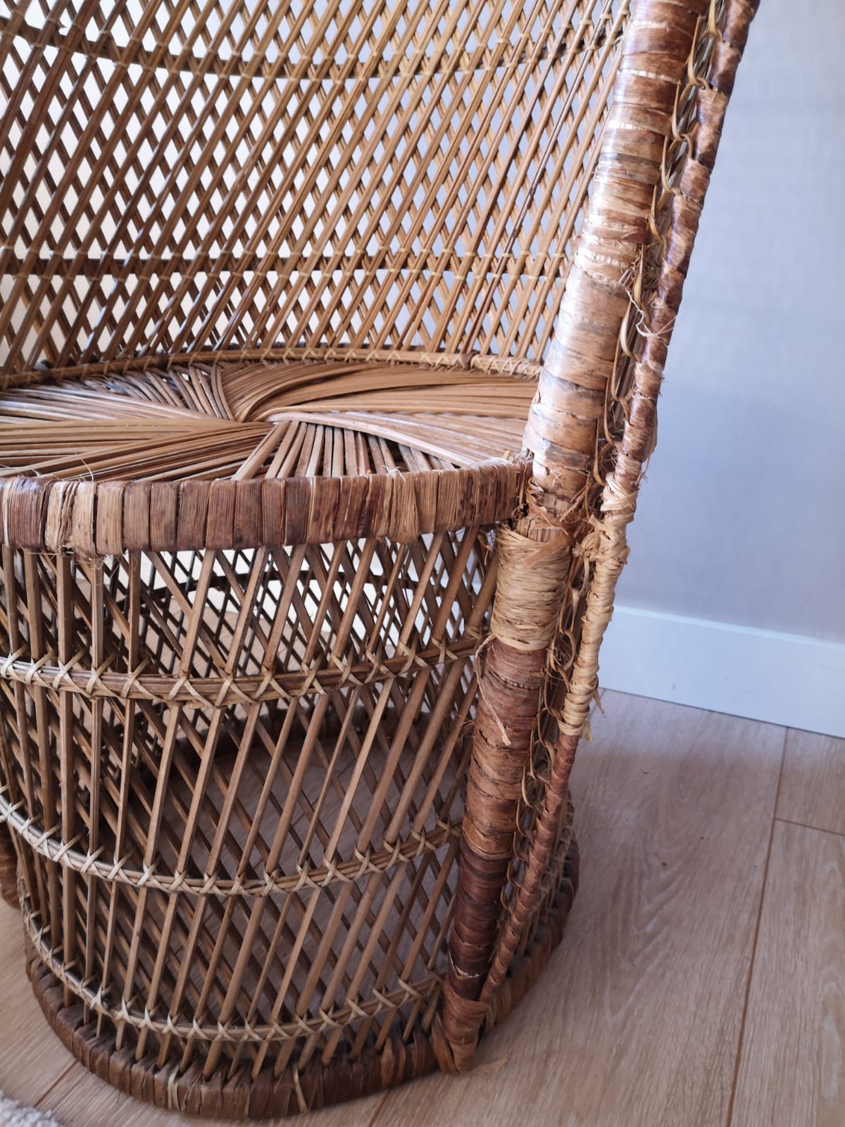 Fauteuil Emmanuelle peacock