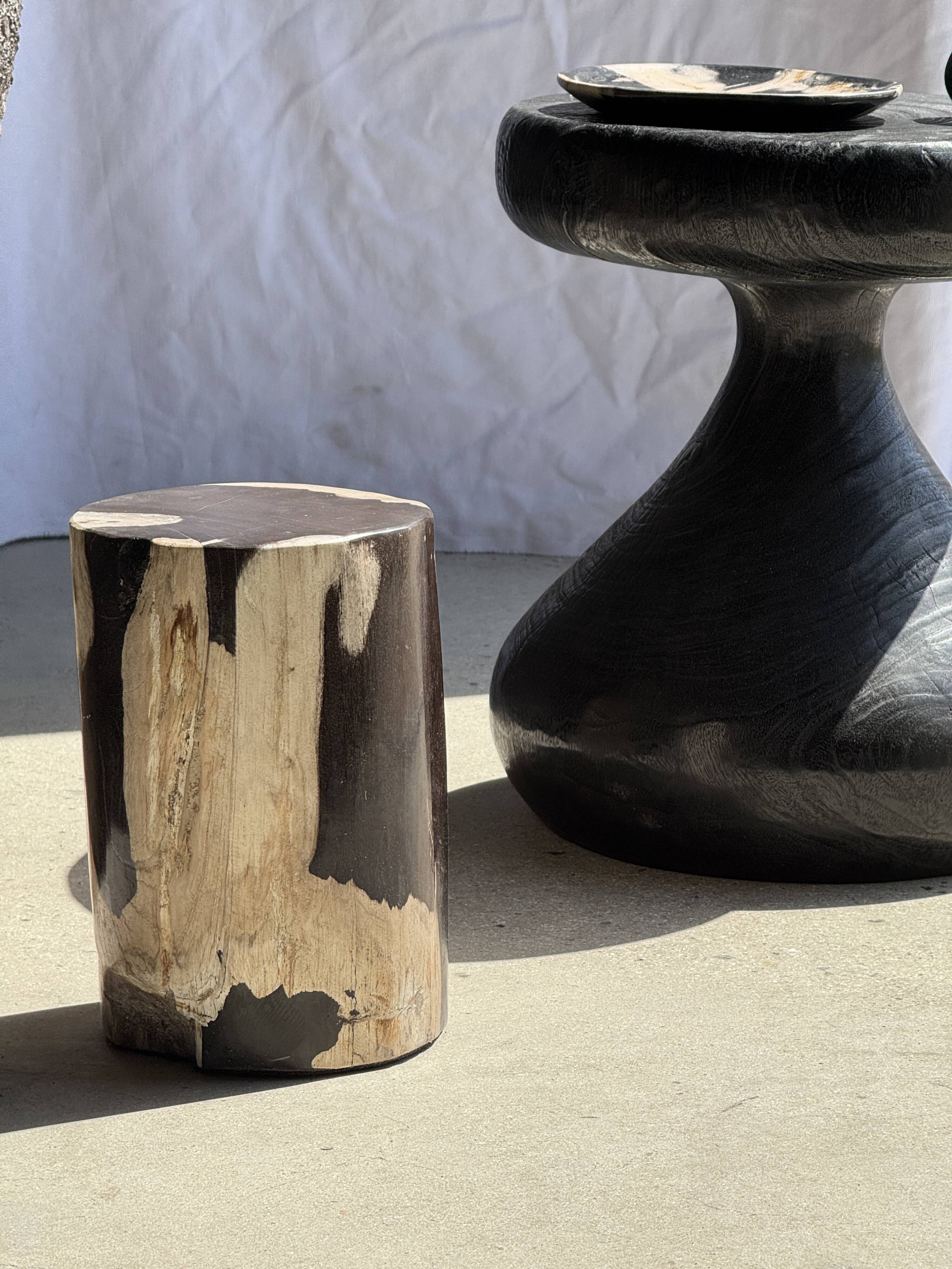 Small side table in black and white petrified wood H28 D18