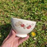 Strawberry bowl