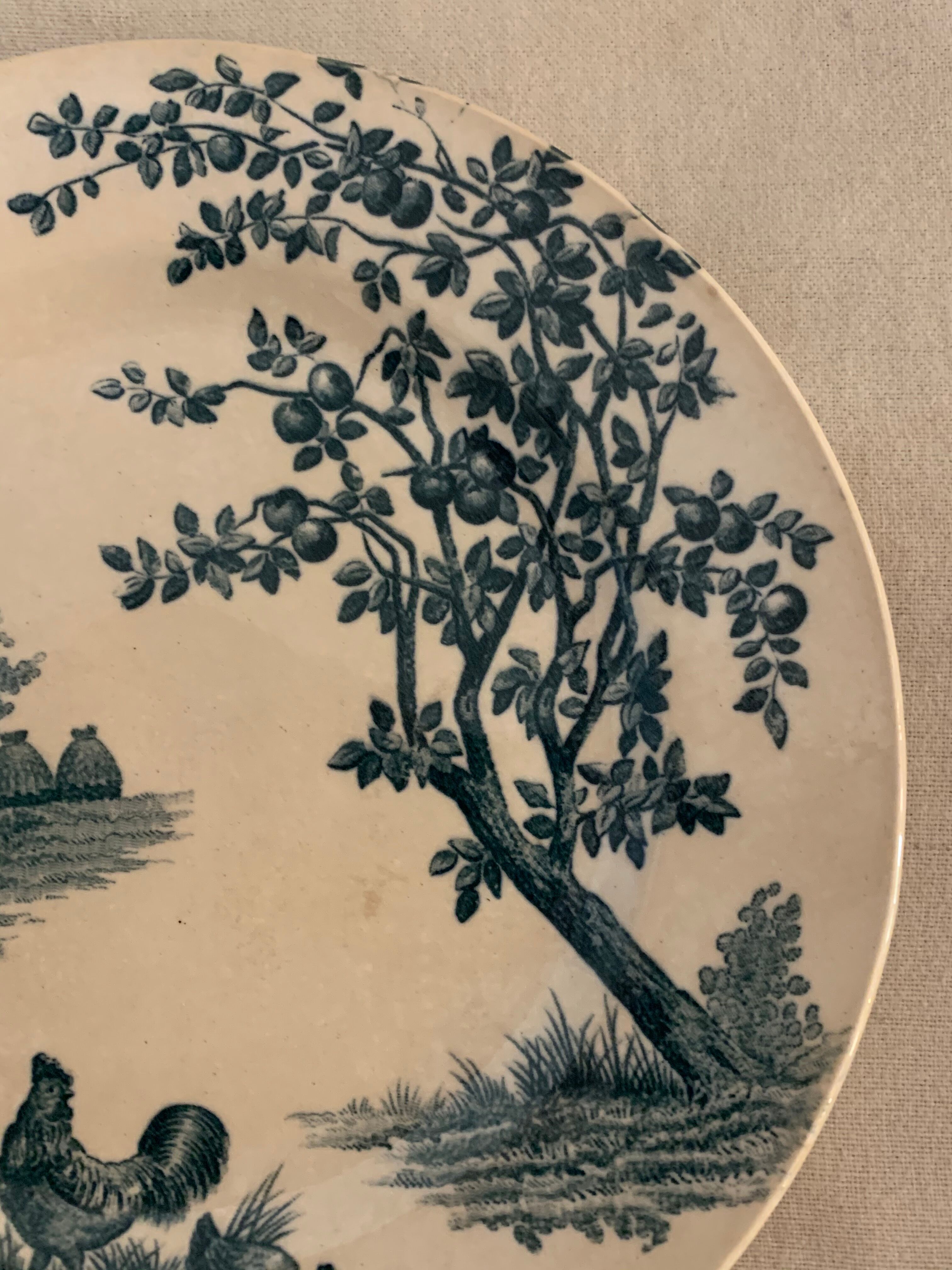 9 dessert plates old chickens, geese and pheasants blue field service Terre de Fer