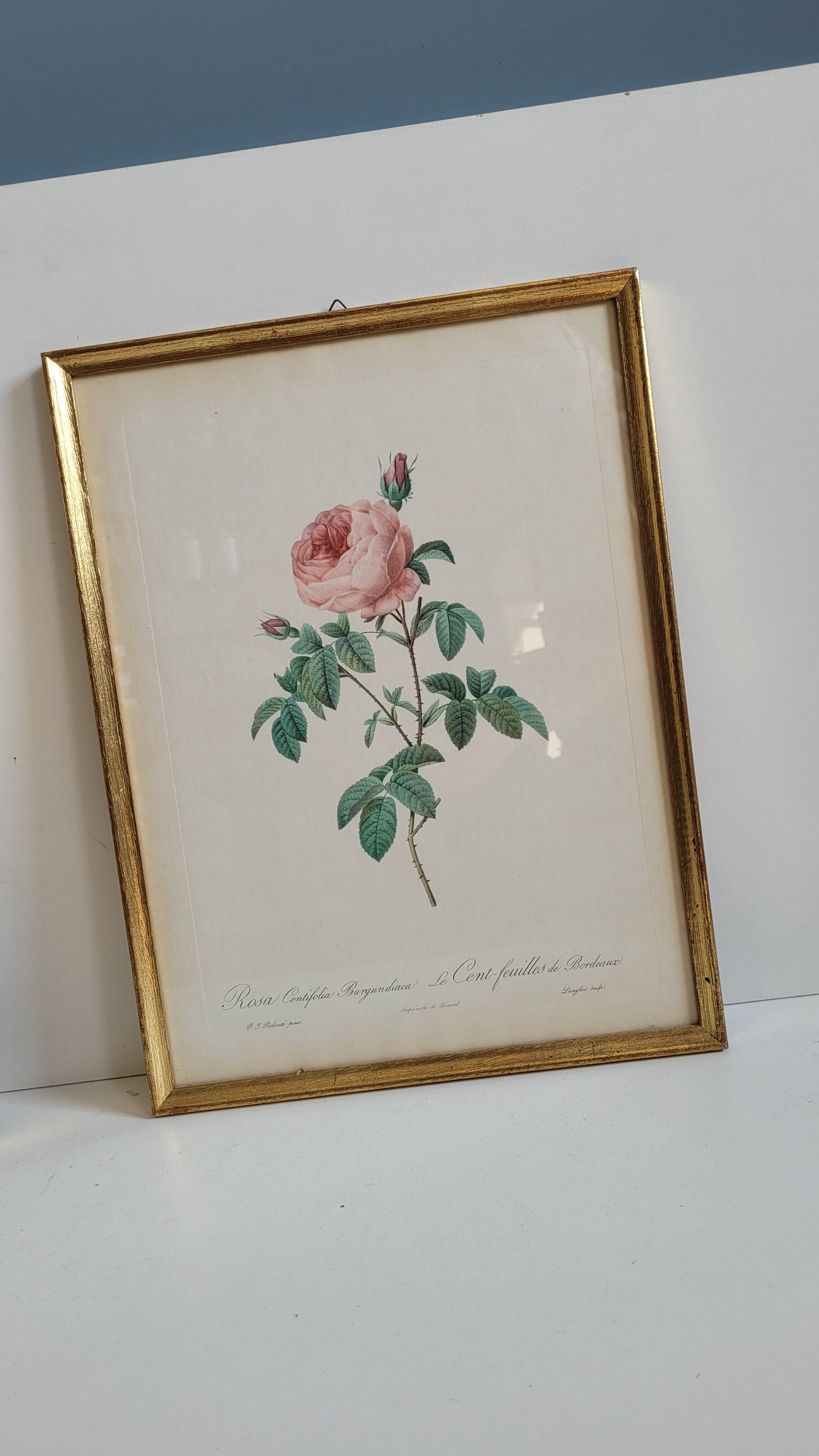 Frame Litho rose Bordeaux