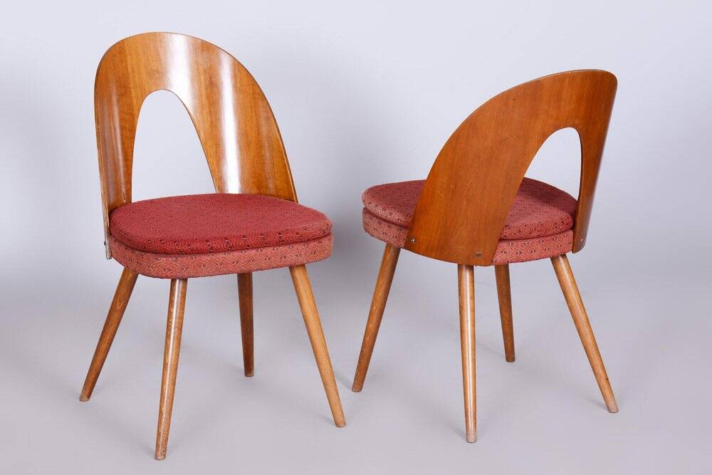 Set of Mid-Century Czech Chairs by Antonin Suman, 1950s