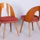 Set of Mid-Century Czech Chairs by Antonin Suman, 1950s