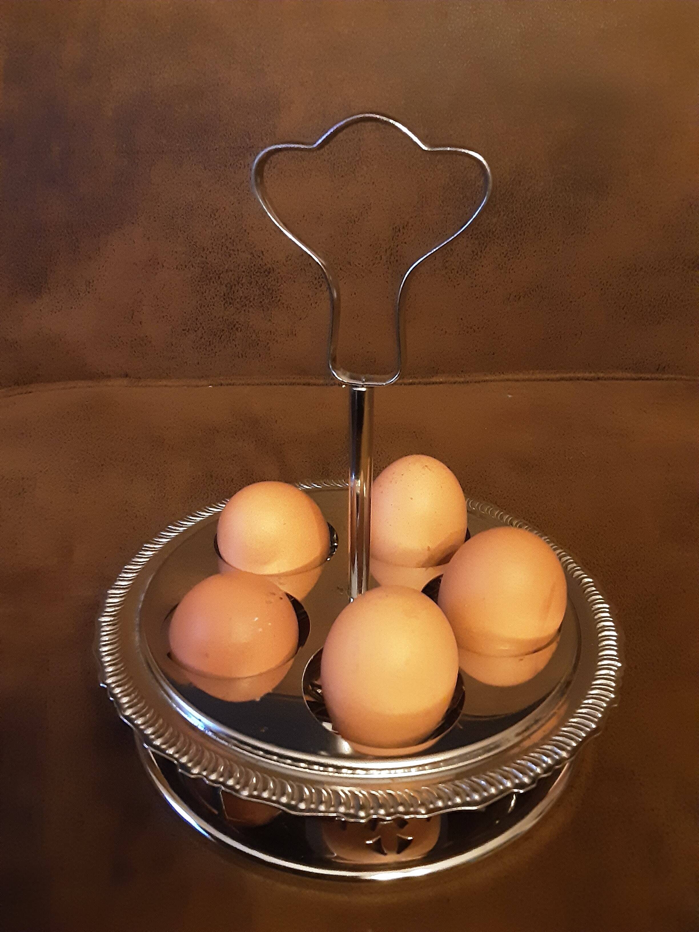 Metal plate for eggs