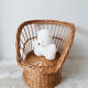 armchair basket in wicker / rattan, child, vintage