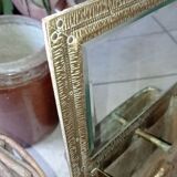 Animal decor mirror 25x35cm