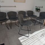 6 chaises Harry Bertoia pour Knoll modèle Wire '420'