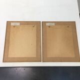 Pair of flower engravings by P.J. Redouté