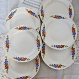 6 Royal Sphinx Maastricht earthenware dessert plates made in Holland earthenware polychrome floral pattern