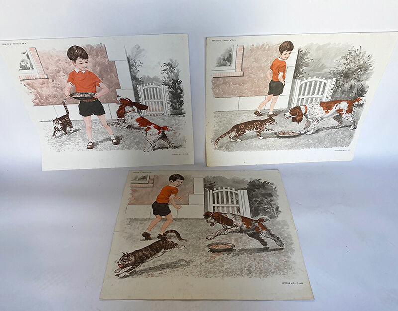 Set of 3 posters Animals & sport