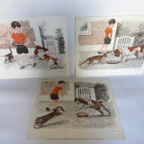 Set of 3 posters Animals & sport