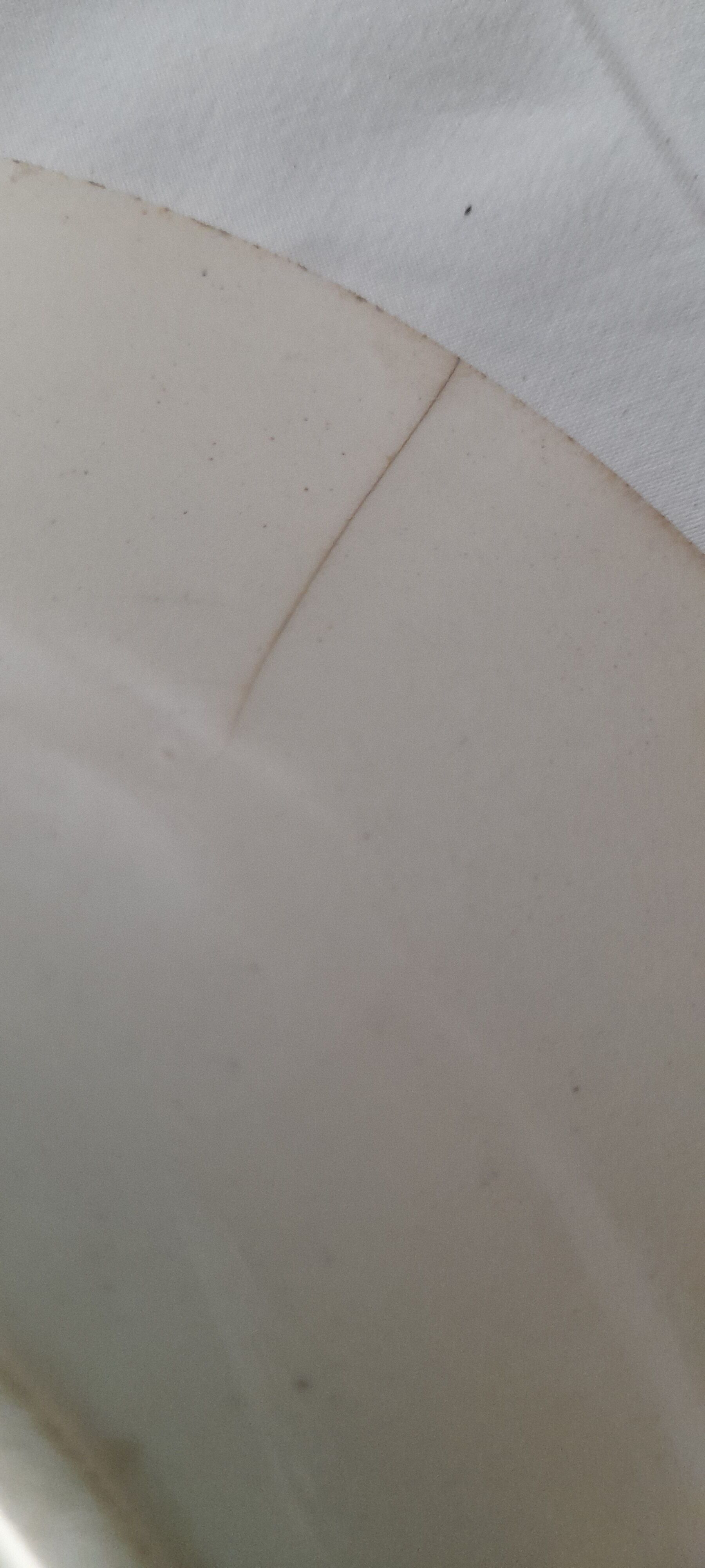 Opaque porcelain plate from Gien model thistles n ° 2 diam 24 cm