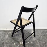 Folding Chair with Cane